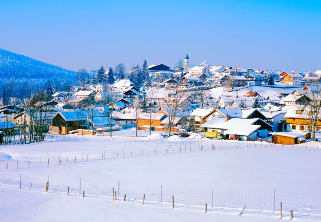 Silvester im Bayerischen Wald